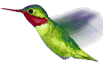 Résultat de recherche d'images pour "gif animé gratuit colibri"