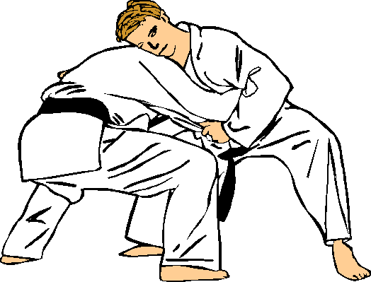RÃ©sultat de recherche d'images pour "gifs animÃ©s judo"
