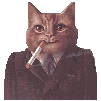 chat fumer 02