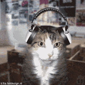 Chat écoutant la musique