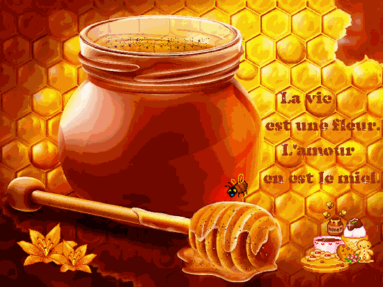 nourritures miel 49