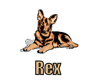 rex 338