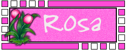 rosa 869