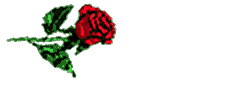 rose 899