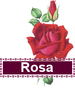 rosa 867