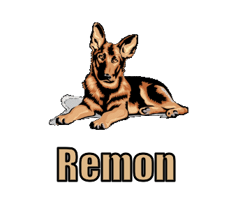 remon 268