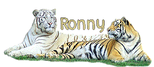 ronny 834
