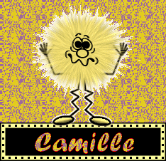 camille 51