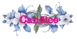 candice 91