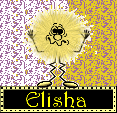 elisha 208