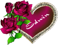 edwin 112