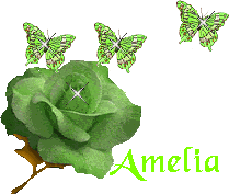 amelia 868