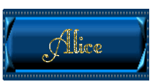 alice 488