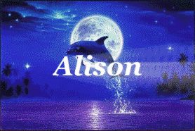 alison 627