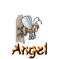 angel 1049