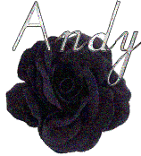 andy 1006