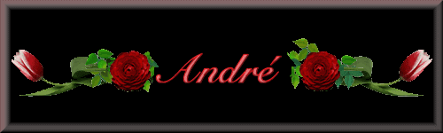 andre 947