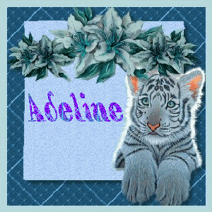 adeline 111