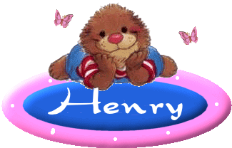 henry 528