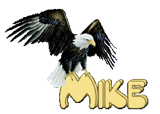 mike 1061