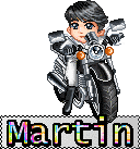 martin 594