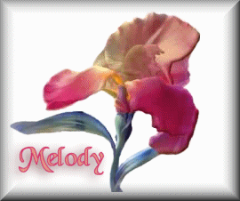 melody 883