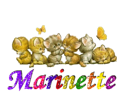 marinette 435