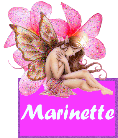 marinette 428