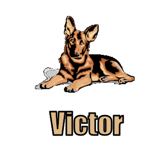 victor 197