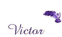 victor 204