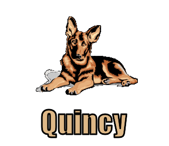 quincy 67