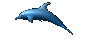 animaux dauphin 221
