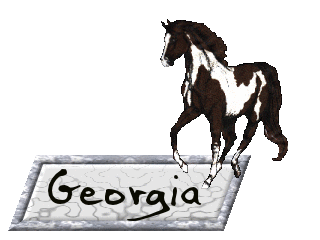 georgia 54