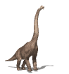 dinosaures diplodocus 02