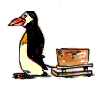 pingouin manchot