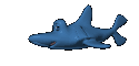 134 requins
