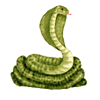 165 serpent
