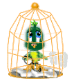 cage oiseau 04