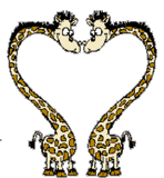 01 afrique girafes coeur