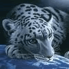 animaux tigre 791