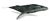 animaux baleine 27