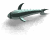 animaux baleine 28