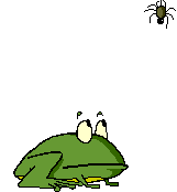 animaux grenouille 433