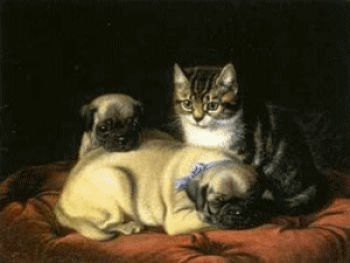 animaux chien et chat 192