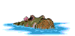 animaux hippopotame 497