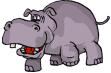 animaux hippopotame 486