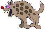 animaux hyenes 512