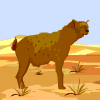 animaux hyenes 507