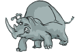 animaux rhinoceros 648
