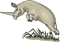 animaux rhinoceros 649